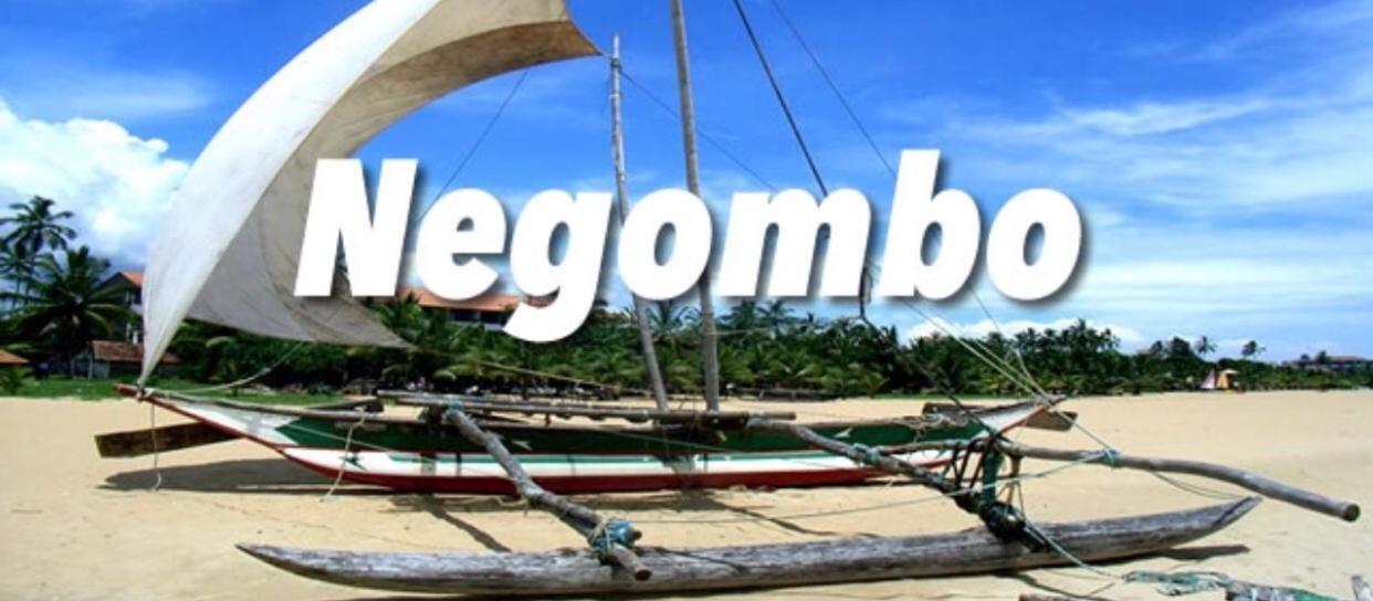 Shenys Beach Villa Negombo Zewnętrze zdjęcie