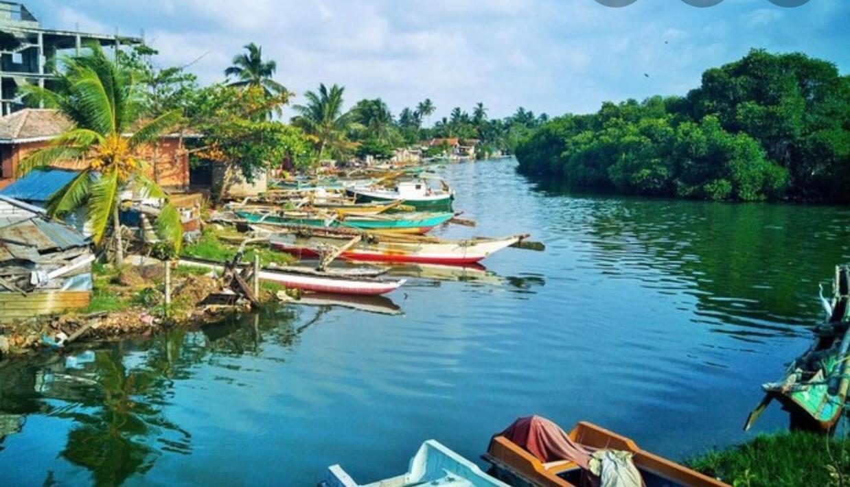 Shenys Beach Villa Negombo Zewnętrze zdjęcie
